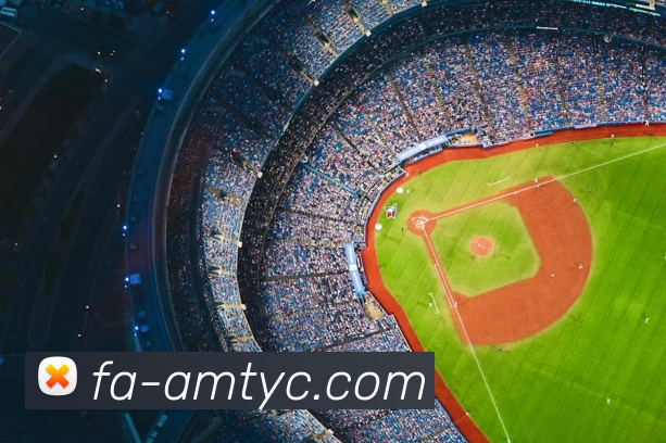 太阳城网站APP 封面图